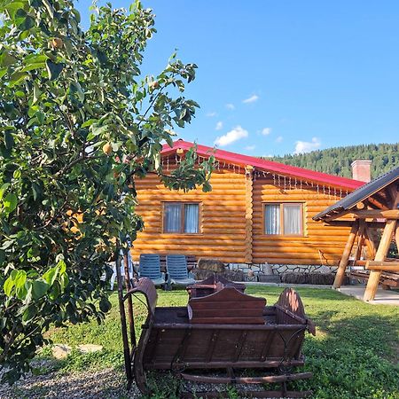 Cabana Alesia, Relaxare La Poalele Raraului Câmpulung Moldovenesc Exteriér fotografie