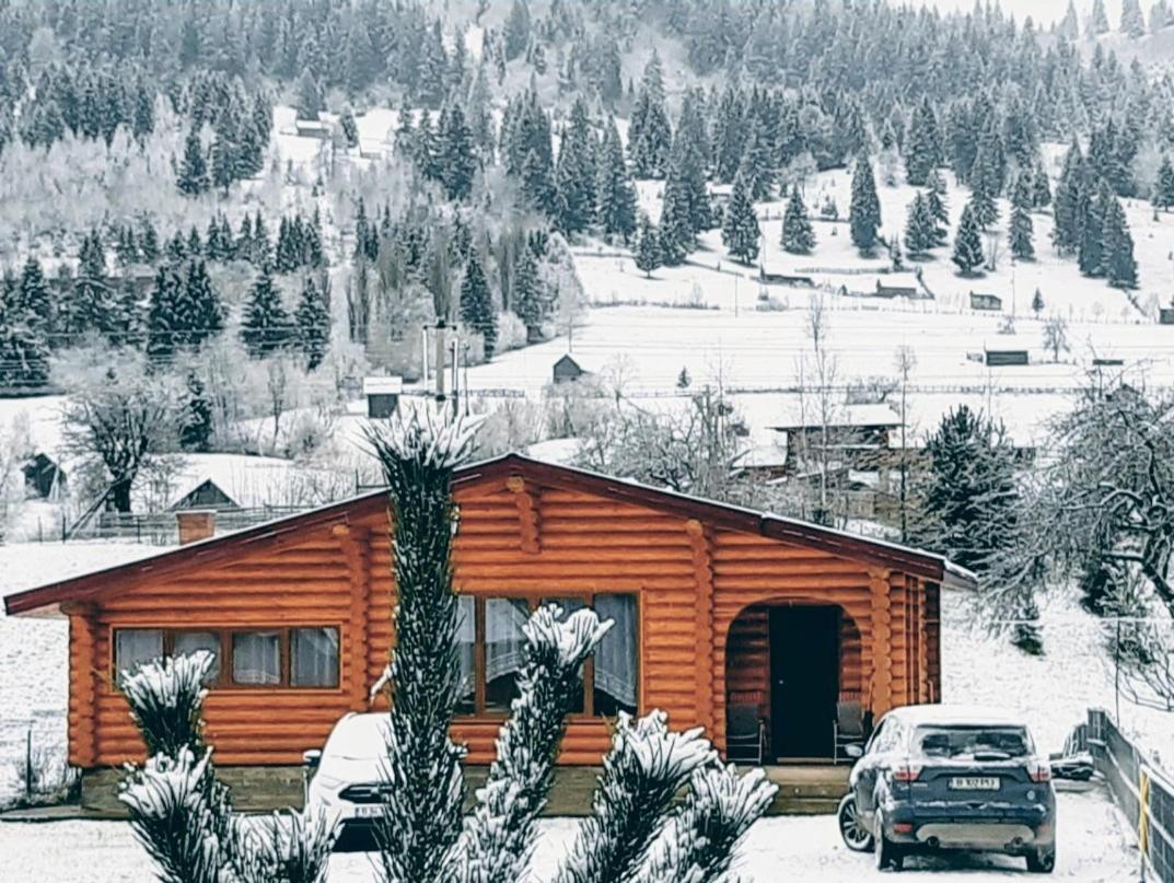 Cabana Alesia, Relaxare La Poalele Raraului Câmpulung Moldovenesc Exteriér fotografie