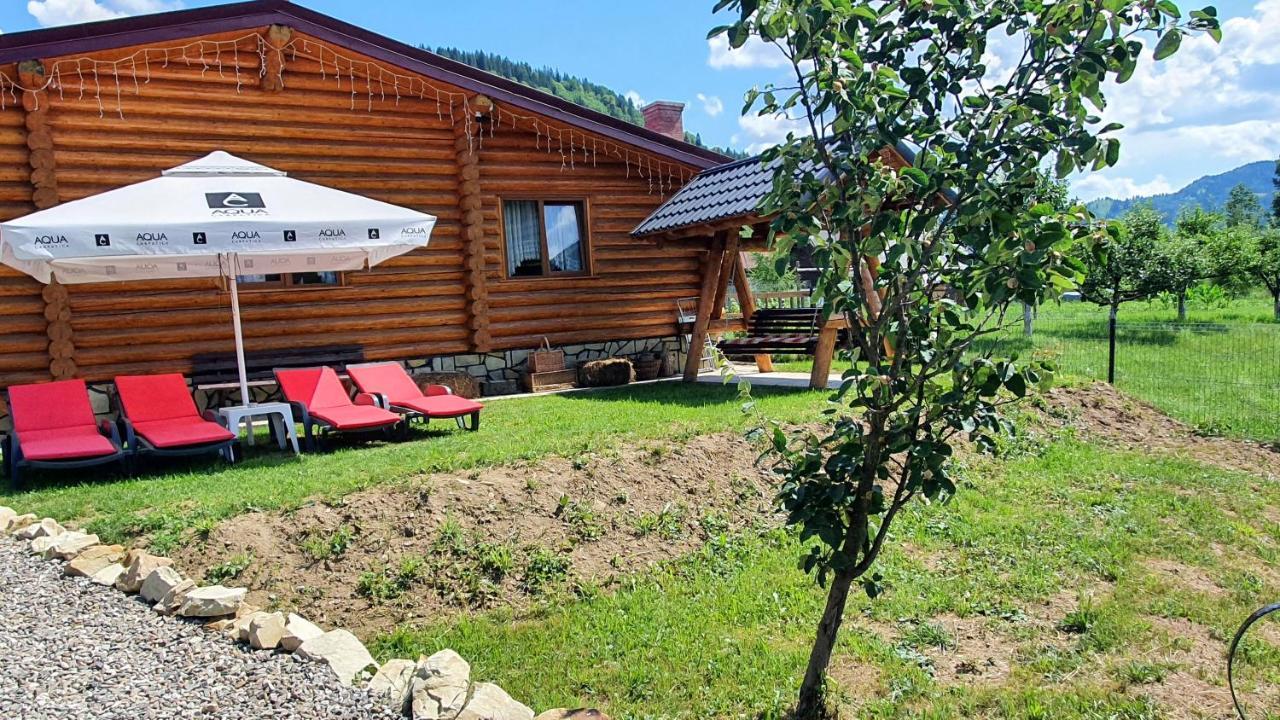 Cabana Alesia, Relaxare La Poalele Raraului Câmpulung Moldovenesc Exteriér fotografie