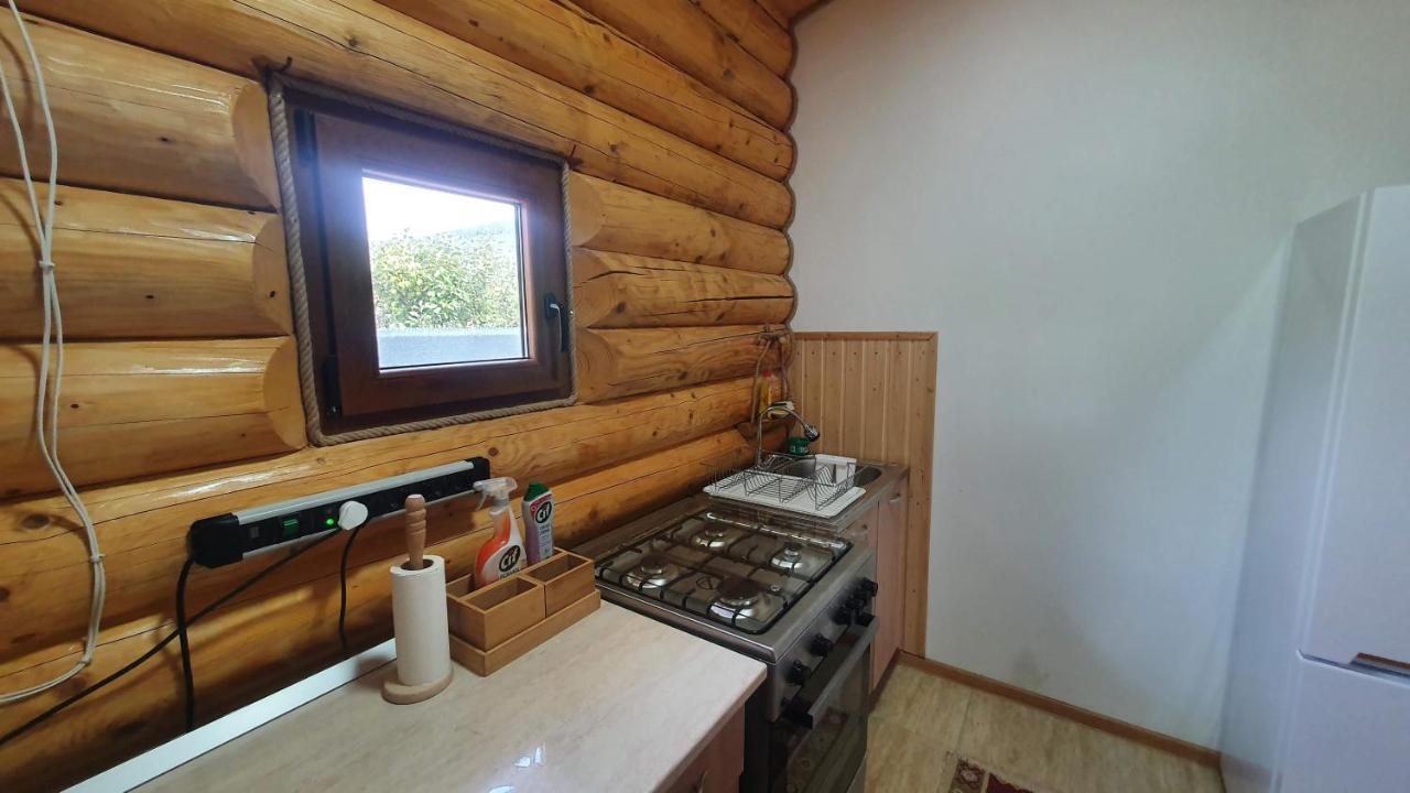 Cabana Alesia, Relaxare La Poalele Raraului Câmpulung Moldovenesc Exteriér fotografie