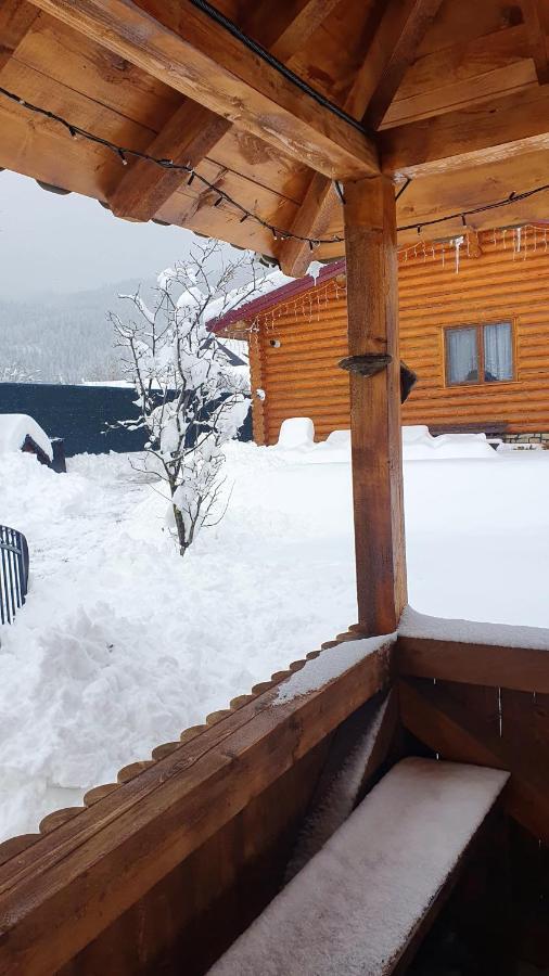 Cabana Alesia, Relaxare La Poalele Raraului Câmpulung Moldovenesc Exteriér fotografie